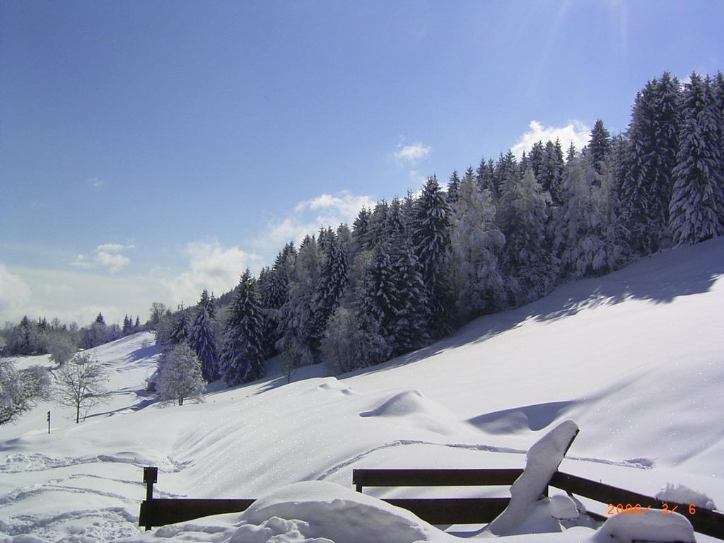 Landhof Schober Appartementen Weissbriach Luaran gambar